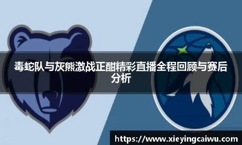 毒蛇队与灰熊激战正酣精彩直播全程回顾与赛后分析