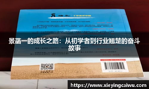 景菡一的成长之路：从初学者到行业翘楚的奋斗故事