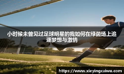 小时候未曾见过足球明星的我如何在绿茵场上追逐梦想与激情
